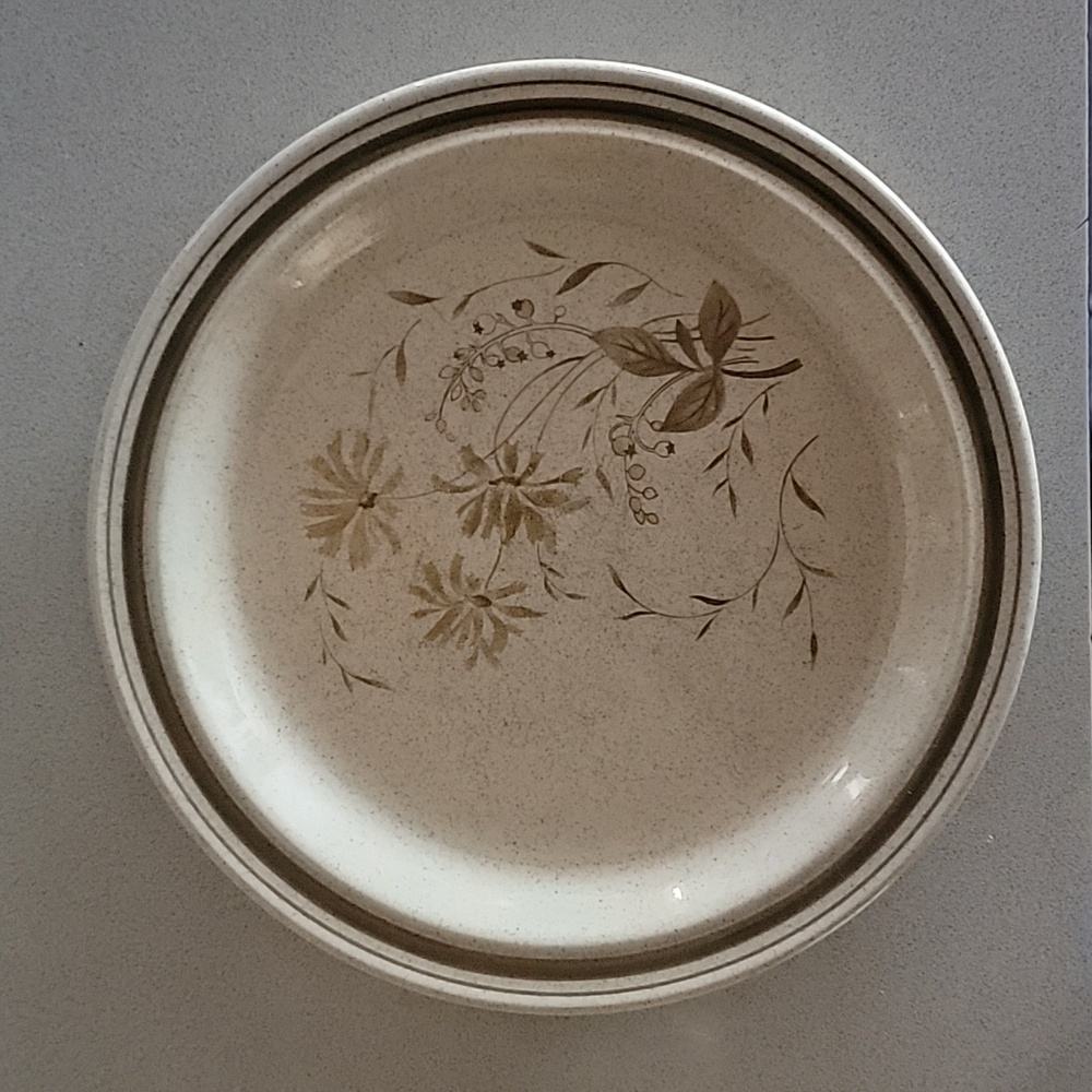 Vintage 1970s dinner plates. Lambethware